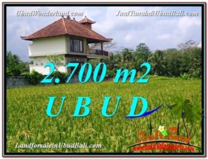 Beautiful PROPERTY 2,700 m2 LAND FOR SALE IN Ubud Tegalalang BALI TJUB595