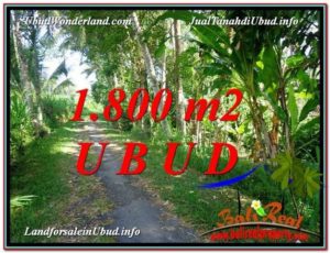 Affordable LAND FOR SALE IN UBUD TJUB597