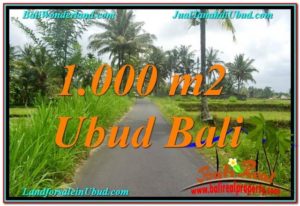 Affordable LAND FOR SALE IN Ubud Tampak Siring BALI TJUB634