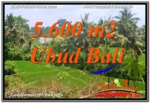Beautiful UBUD BALI 5,600 m2 LAND FOR SALE TJUB636