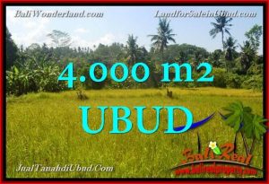 FOR SALE 4,000 m2 LAND IN UBUD TJUB661