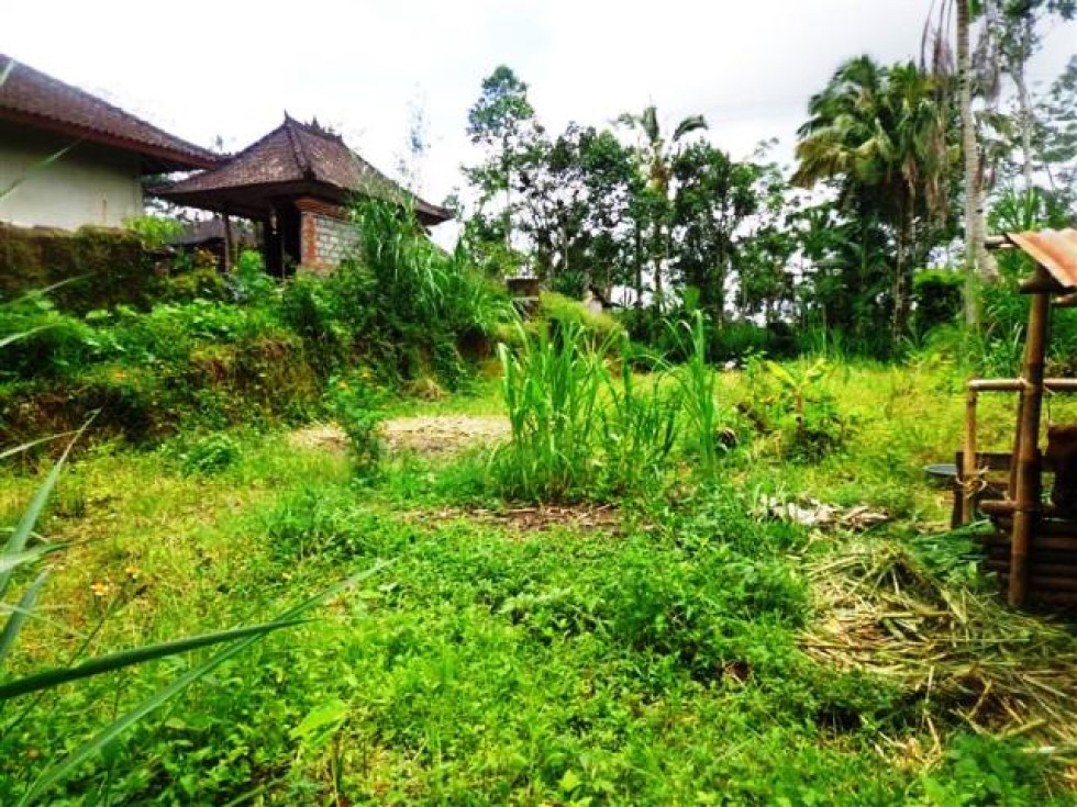 Land for sale in Ubud Bali perfect place for your dream villa – LUB166