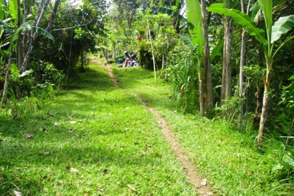 Land for sale in Ubud suitable for investment – LUB072