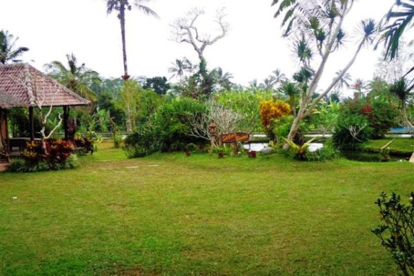 Land for sale in Ubud with rice field view – LUB101