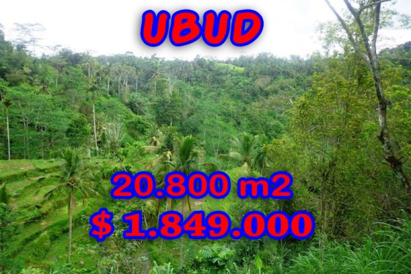 Land in Ubud for sale, Stunning view in Ubud Tampak Siring Bali – TJUB274