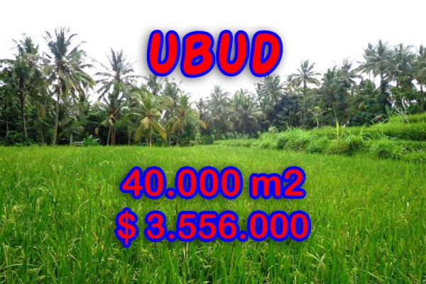Land for sale in Bali, Exotic view in Ubud Bali – 40.000 sqm @ $ 89