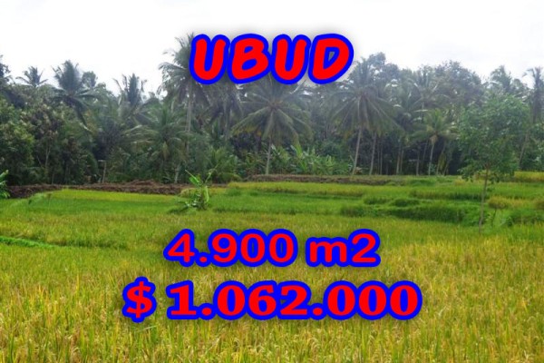 Land for sale in Bali, Exceptional property in Ubud Bali – 4.900 sqm @ $ 217