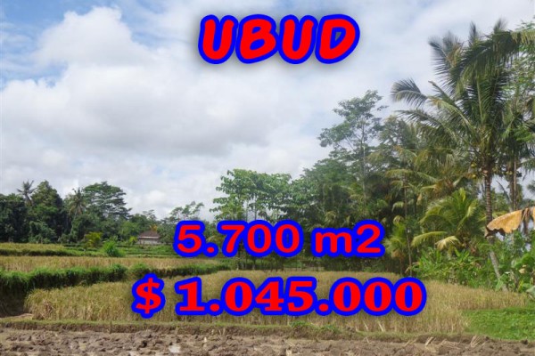 Exceptional Property in Bali, Land for sale in Ubud Bali – 5.700 sqm @ $ 183