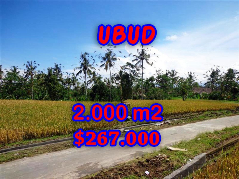 Astounding Property in Bali, Land in Ubud Bali for sale – 2.000 m2 @ $ 133
