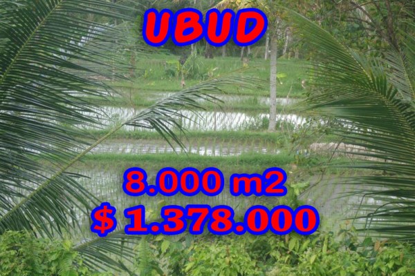 Land for sale in Bali, Amazing view in Ubud Bali – 8.000 sqm @ $ 172