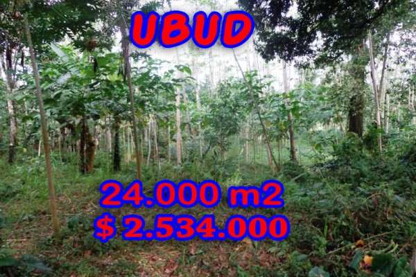 Amazing Property in Bali, Land for sale in Ubud Bali – 24.000 sqm @ $ 106