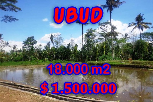 Land for sale in Ubud, Stunning view in Ubud Tegalalang Bali – TJUB292