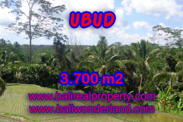 Land for sale in Bali, Fantastic view in Ubud Bali – 3,700 m2 @ $ 150