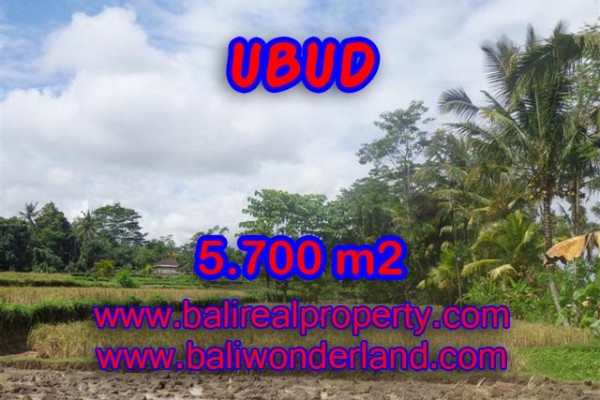Land for sale in Bali, Outstanding view in Ubud Bali – 5.700 m2 @ $ 183