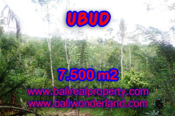 Extraordinary Property in Bali, Land for sale in Ubud Bali – 7,500 m2 @ $ 52