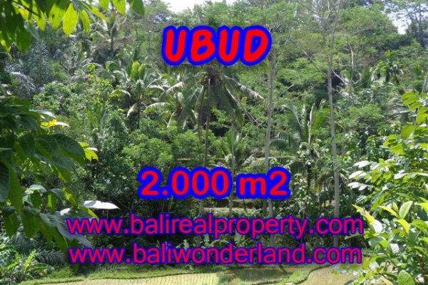 Land for sale in Bali, Outstanding view in Ubud Bali – 2.000 m2 @ $ 100