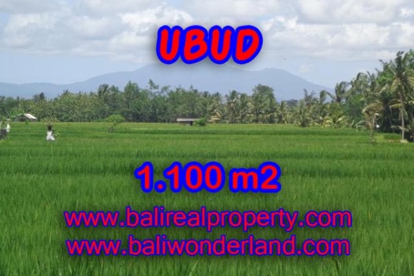 Land for sale in Bali, Spectacular view in Ubud Bali – 1.100 m2 @ $ 435