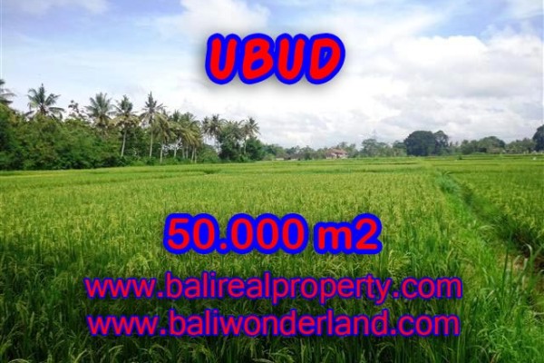 Exotic Property in Bali, Land sale in Ubud Bali – 50.000 m2 @ $ 225