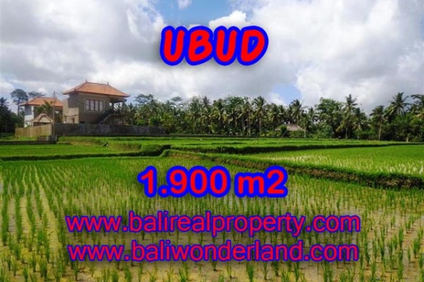 Exotic Property for sale in Bali, Land in Ubud for sale – 1.900 m2 @ $ 315