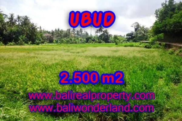 Extraordinary Property in Bali, Land in Ubud for sale – 2.500 m2 @ $ 285