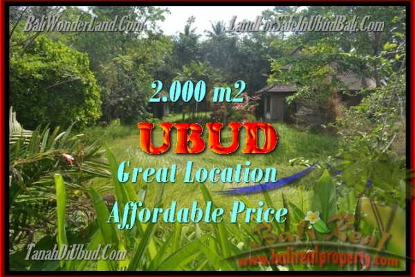 Land for sale in Bali, Exceptional view in Ubud Bali – 2.000 m2 @ $ 485