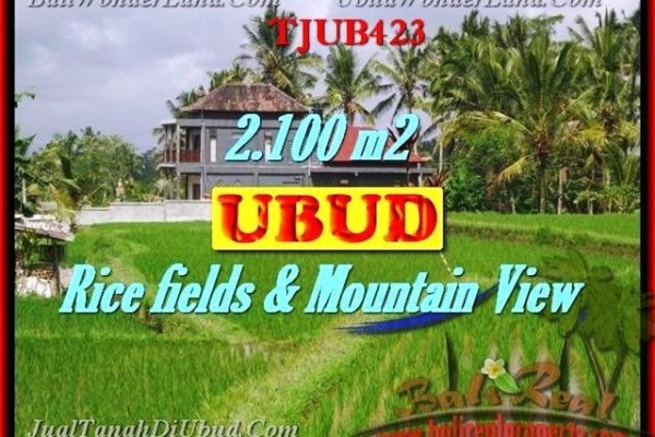 Magnificent PROPERTY LAND IN UBUD FOR SALE TJUB423