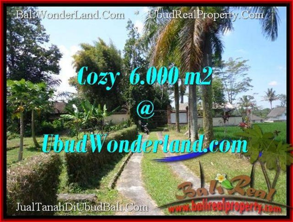 Exotic PROPERTY 6,000 m2 LAND FOR SALE IN Sentral Ubud TJUB507