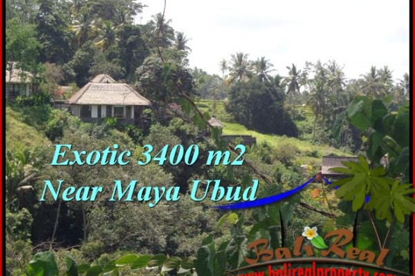 Affordable LAND FOR SALE IN Ubud Tengkulak BALI TJUB514