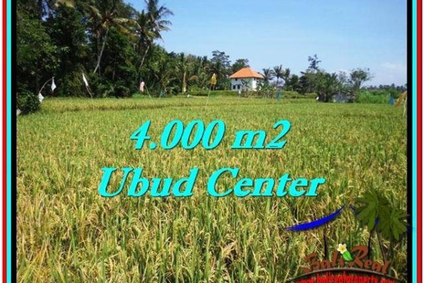 FOR SALE Magnificent PROPERTY 4,000 m2 LAND IN UBUD BALI TJUB527
