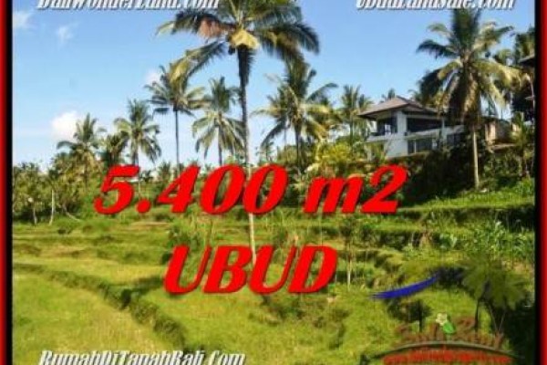 FOR SALE Beautiful PROPERTY 5,400 m2 LAND IN Ubud Tegalalang TJUB550