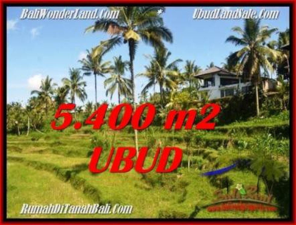 FOR SALE Beautiful PROPERTY 5,400 m2 LAND IN Ubud Tegalalang TJUB550