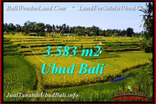 FOR SALE Beautiful PROPERTY LAND IN UBUD TJUB542