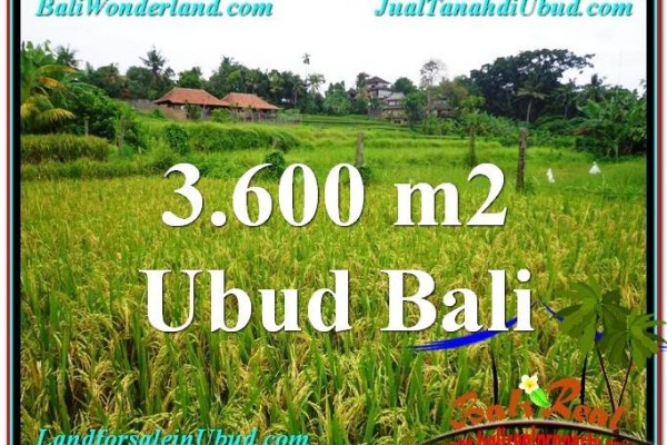 FOR SALE Beautiful PROPERTY 3,600 m2 LAND IN UBUD BALI TJUB566