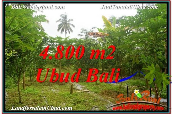 Affordable 4,800 m2 LAND FOR SALE IN UBUD BALI TJUB571