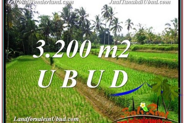 Magnificent Ubud Tegalalang BALI LAND FOR SALE TJUB594