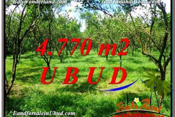 FOR SALE Affordable PROPERTY LAND IN Ubud Tegalalang BALI TJUB598