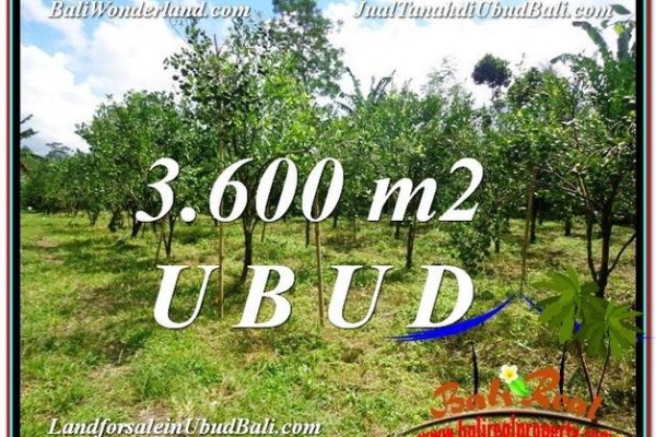 FOR SALE Beautiful PROPERTY 3,600 m2 LAND IN Ubud Tegalalang TJUB599
