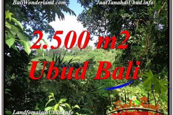 Exotic UBUD BALI 2,500 m2 LAND FOR SALE TJUB605
