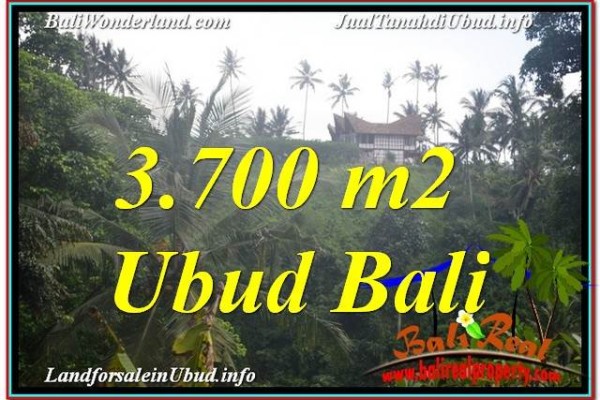 Exotic 3,700 m2 LAND FOR SALE IN UBUD BALI TJUB640