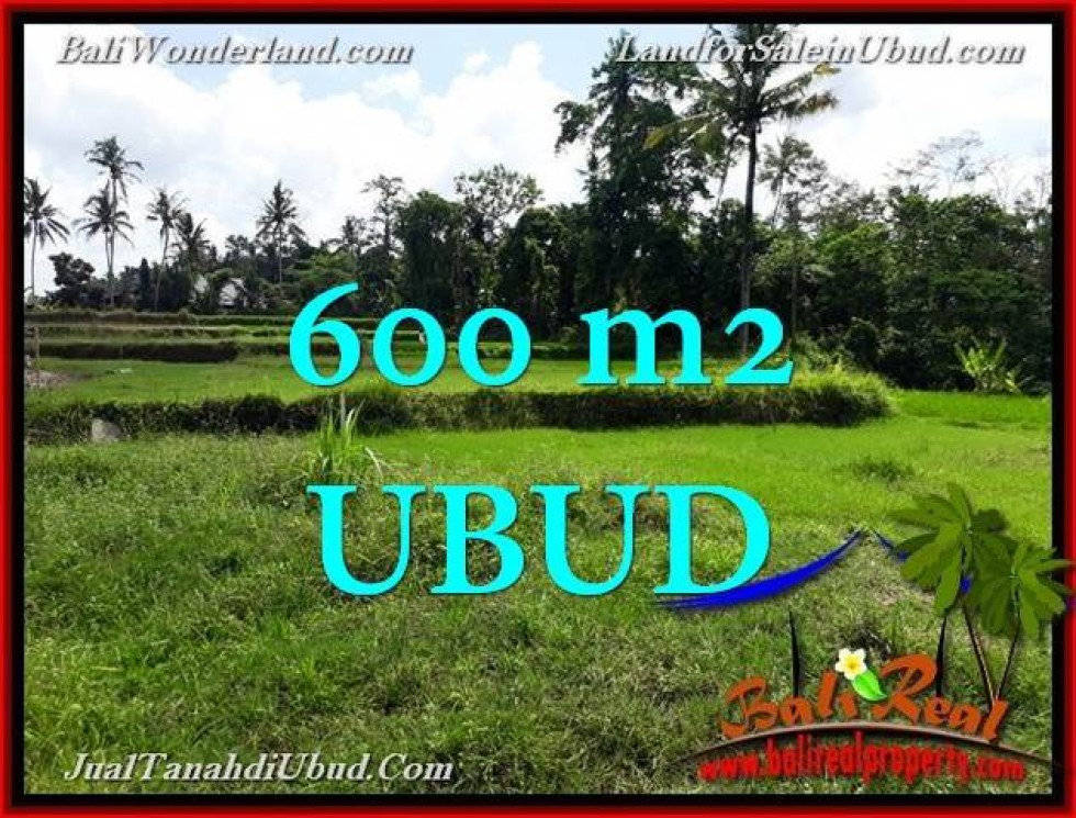 Exotic PROPERTY LAND IN Ubud Pejeng Bali FOR SALE TJUB657