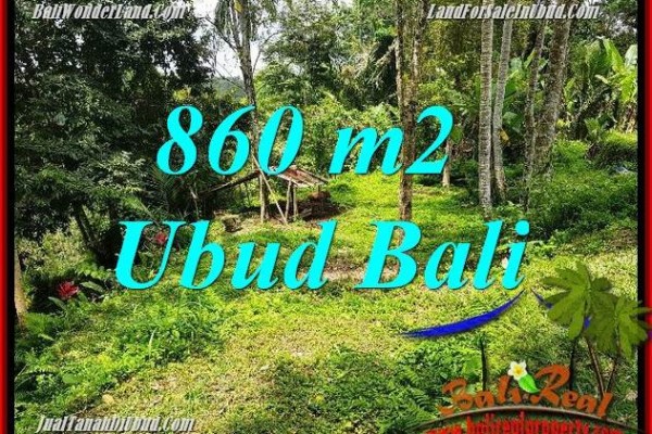860 m2 Land sale in Ubud Bali TJUB691