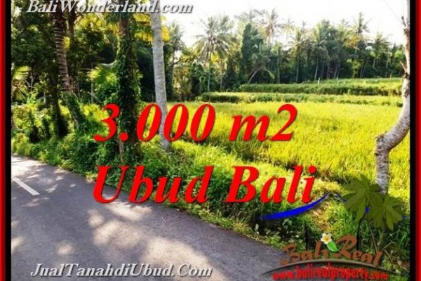 Magnificent PROPERTY LAND FOR SALE IN UBUD BALI TJUB771