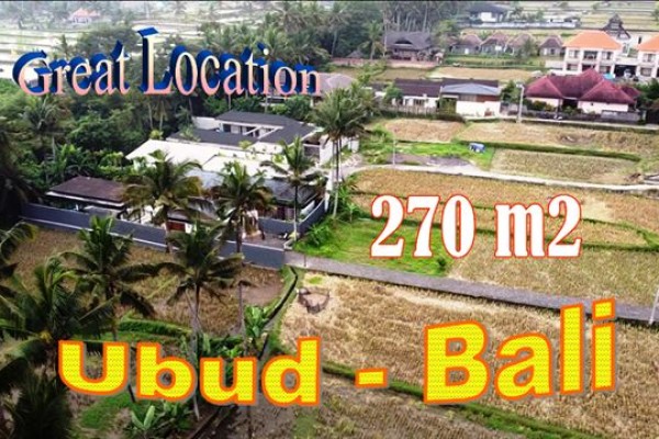Affordable LAND SALE in UBUD BALI TJUB849