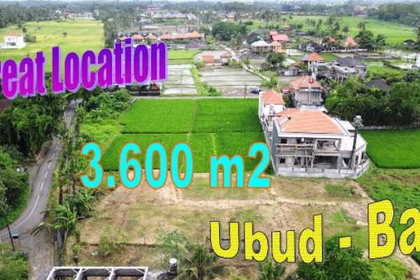 3,600 m2 LAND SALE in Sukawati Ubud TJUB836