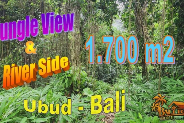 Magnificent PROPERTY 1,700 m2 LAND for SALE in UBUD TJUB856