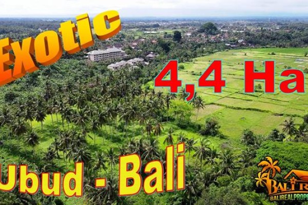 Affordable PROPERTY LAND in Ubud for SALE TJUB858