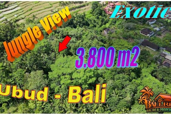 Affordable 3,800 m2 LAND in Ubud Tampaksiring BALI for SALE TJUB870