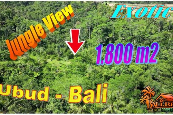 Magnificent Ubud Tegalalang LAND for SALE TJUB872