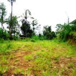 Land for sale in Ubud Bali - LUB166
