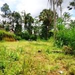 Land for sale in Ubud Bali - LUB166